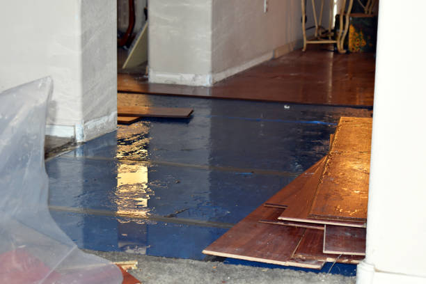 Professional Burst Pipe Cleanup technician working in Enville, TN